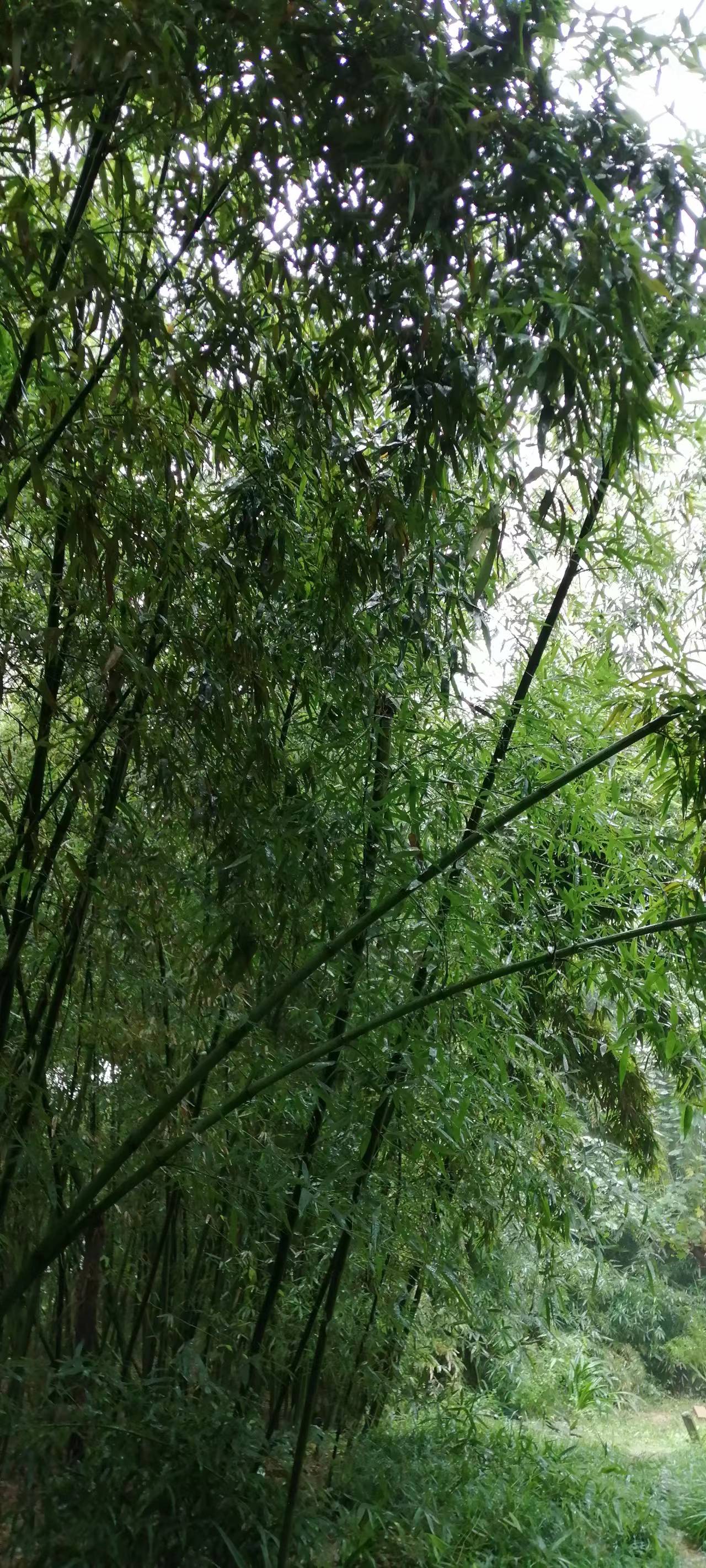 ISO45001认证  乙炔瓶与氧气瓶的安全距离