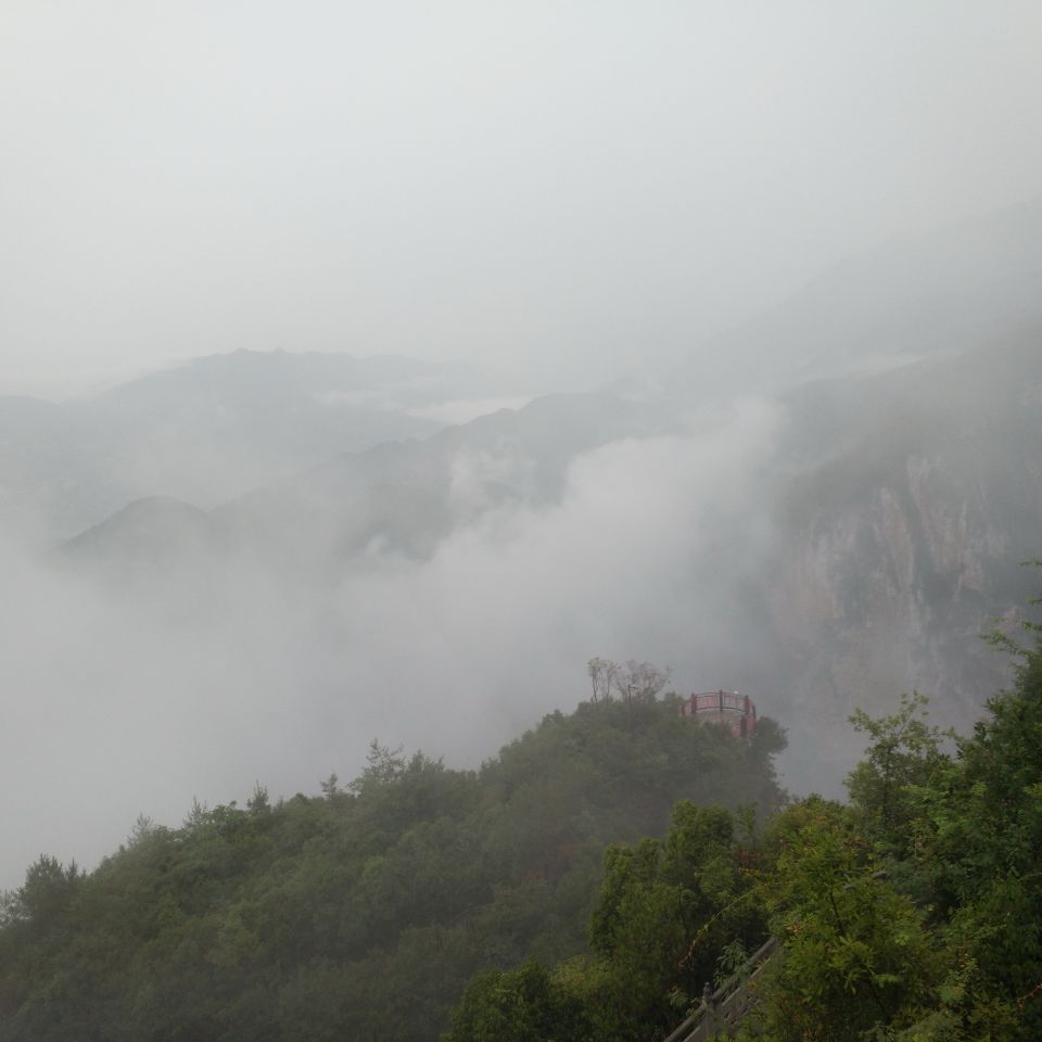 上海认证  ISO45001认证 “标准”含义