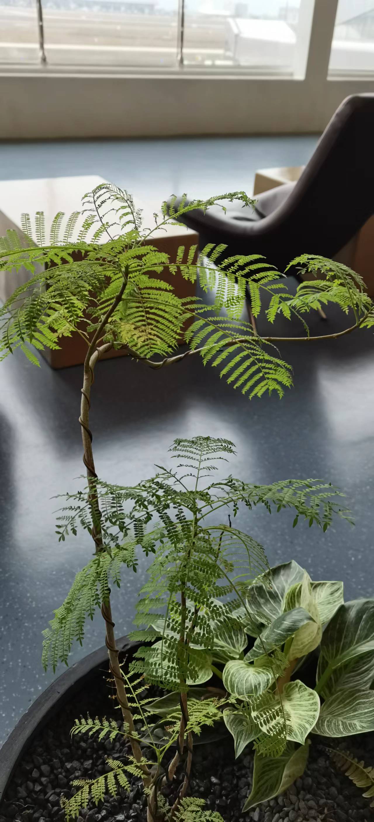 ISO14001管理体系审核需准备的资料（生产型企业）